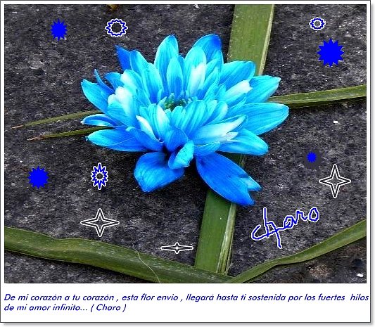 De mi corazón a tu corazón