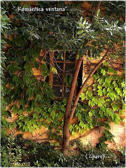 Romántica  ventana