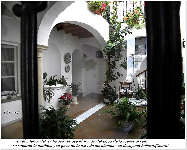 Y en el interior del patío