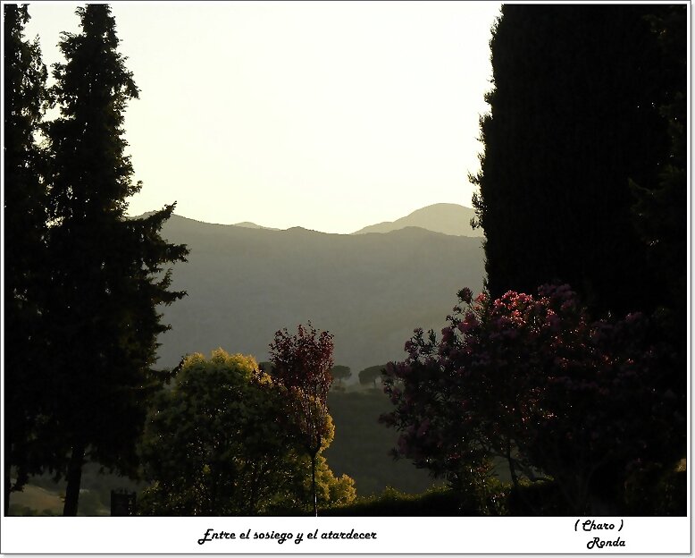 Entre el sosiego y el atardecer