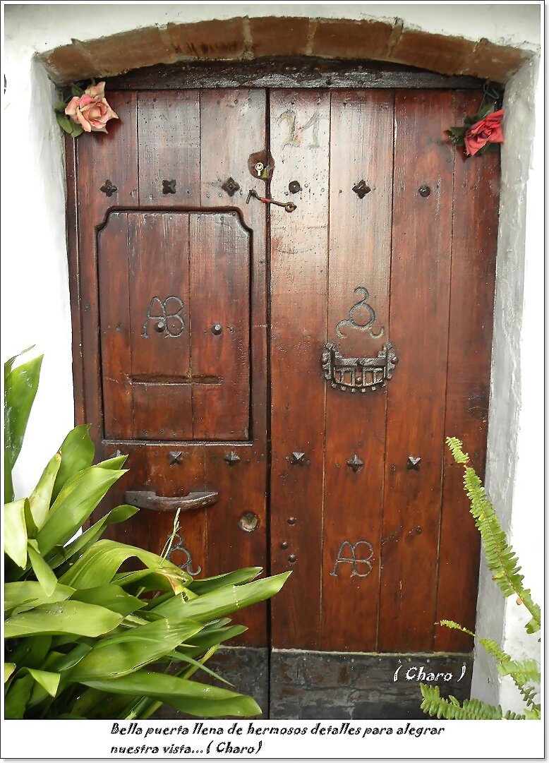 Bella  puerta