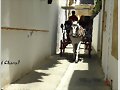 Un  bonito  paseo