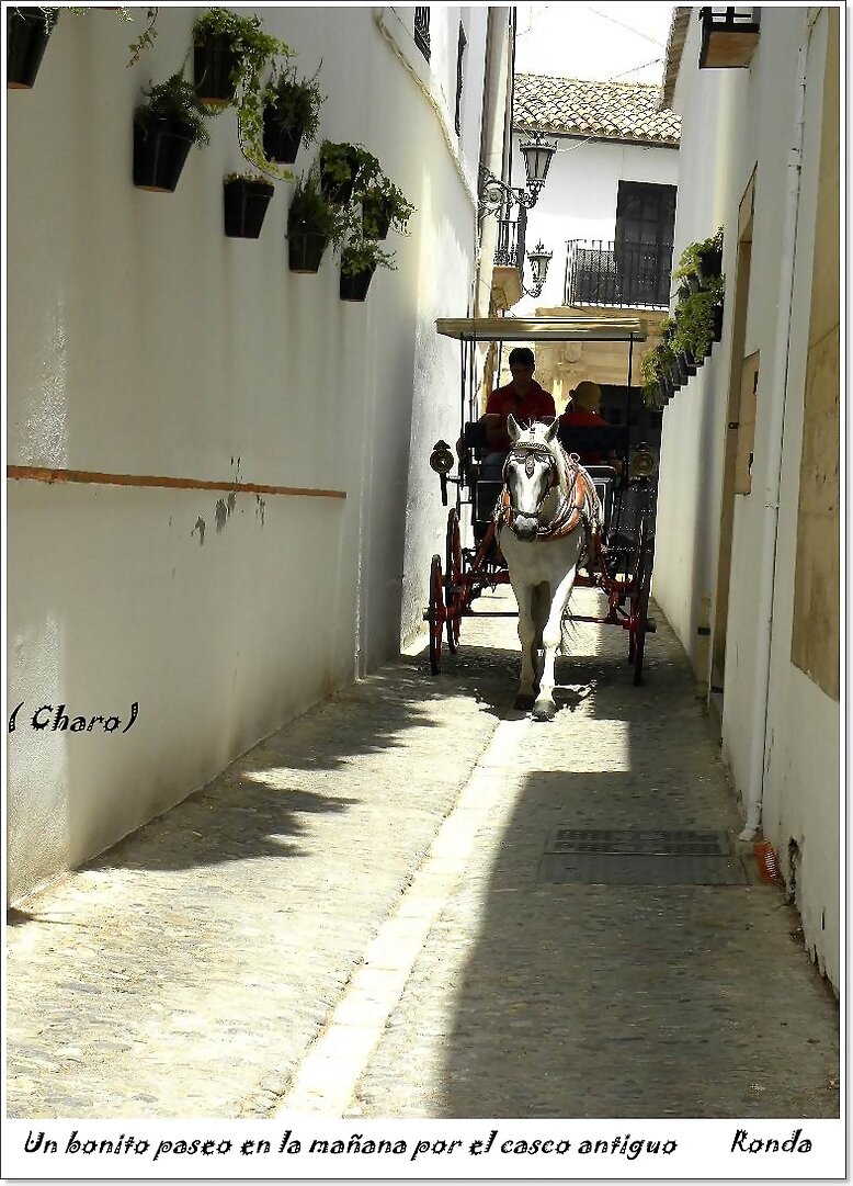 Un  bonito  paseo