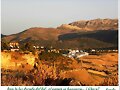 Bajo  la  luz  dorada  del  sol