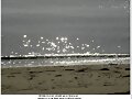 Estrellas  en  el  mar