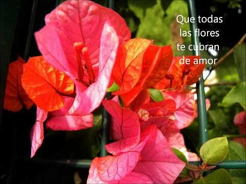 &iexcl; FELIZ CUMPLEA&Ntilde;OS , MONI !