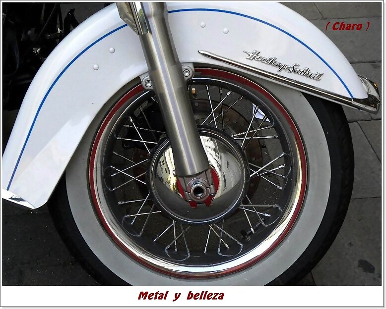 Metal  y  belleza