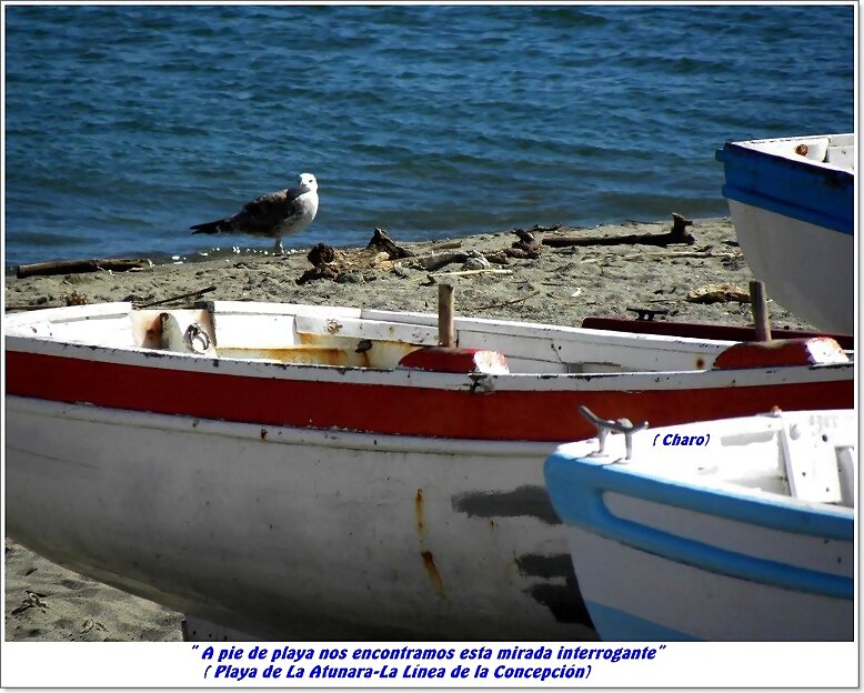 A pie de playa ...