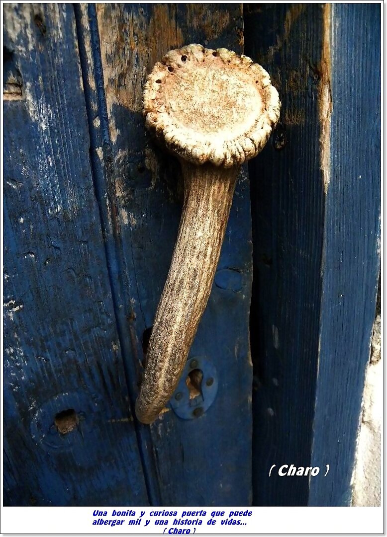Una  bonita  y  curiosa  puerta