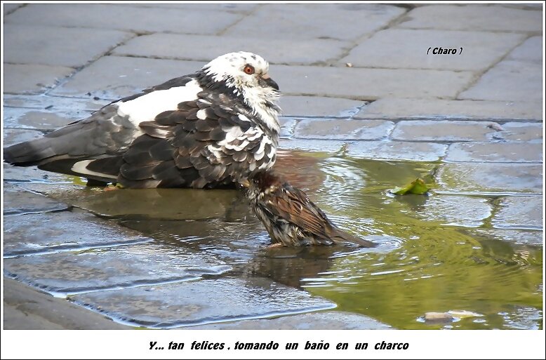 Y... tan felices