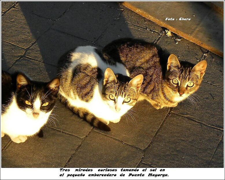Tres  miradas
