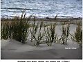 Dunas