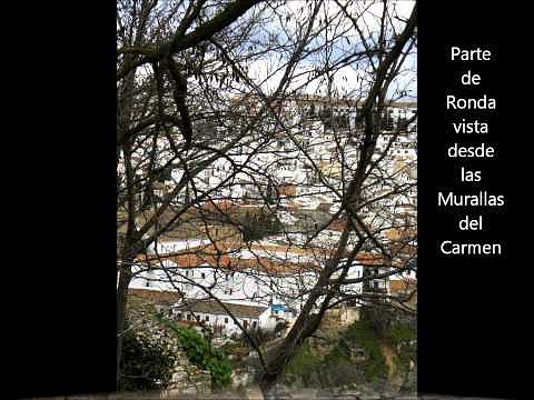 Invierno  en  Ronda