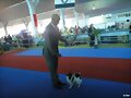 expo leon 2010