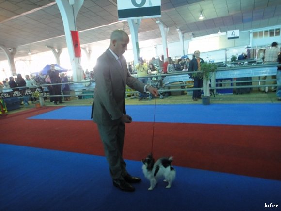 expo leon 2010