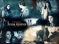 frases de crepusculo