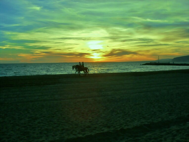 CABALLOS AL ATARDECER