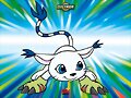 gatomon!!!!