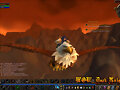 Volando en grifo