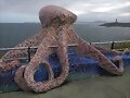 pulpo en A CORU&Ntilde;A