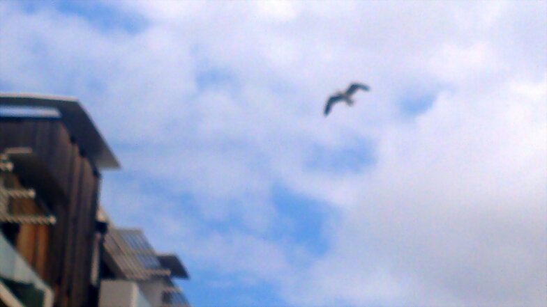 VOLANDO BRISTOL (INGLATERRA)
