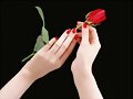 COMO YO TE AME