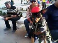 carnavales en Venezuela