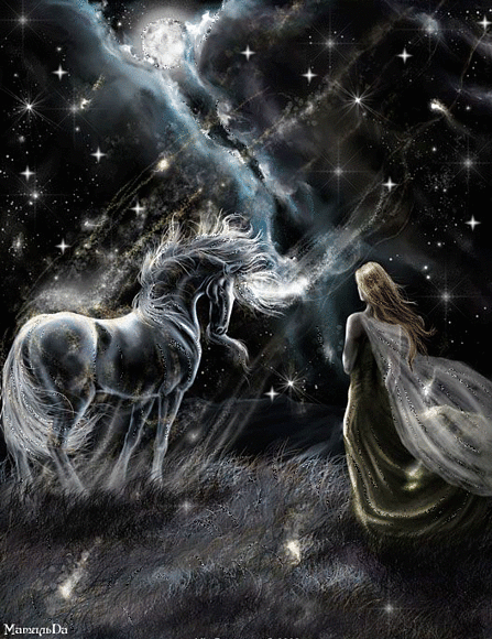 LLUVIA DE ESTRELLAS