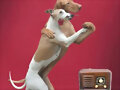 Tango canino?