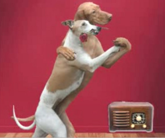 Tango canino?