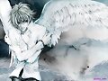 angel mio