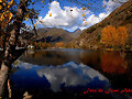 Reflexe