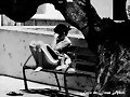 Lectura 2