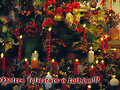 Bones Festes!!!!