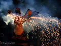 Foc