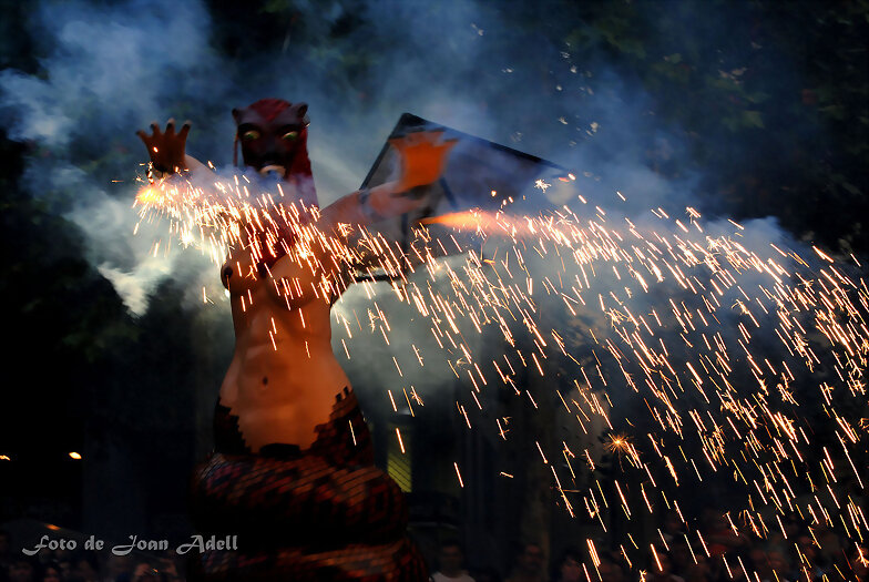 Foc