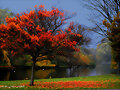 Arbre