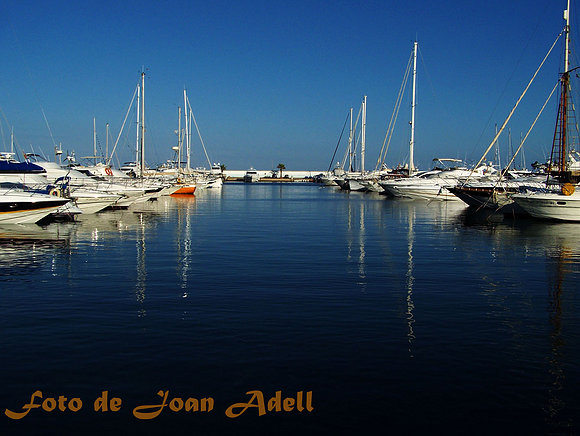 Barques