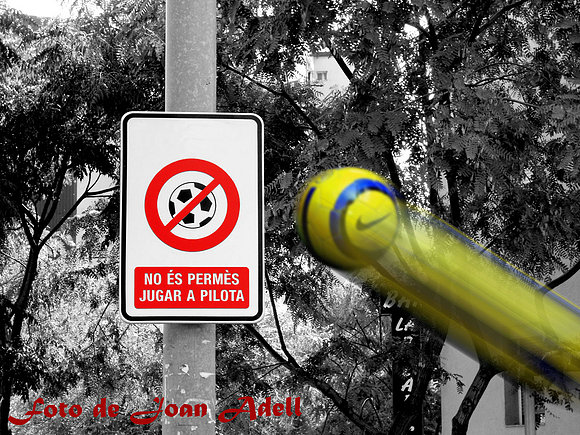 pilota