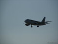 Spotting Barajas
