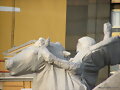 Pegaso con gasa.
