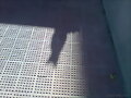 la sombra del gato