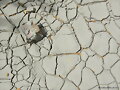 barro seco