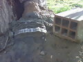 composici&oacute;n natural imposible