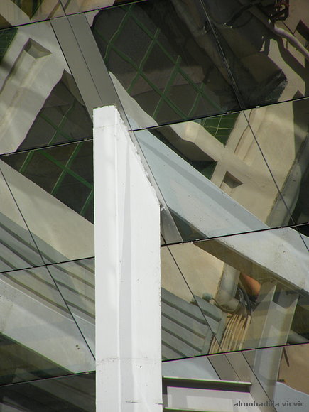 reflejo