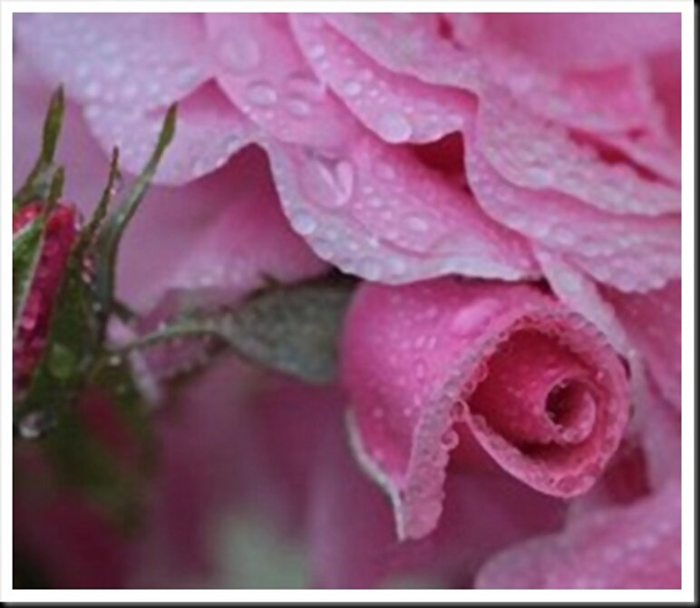 BELLEZA