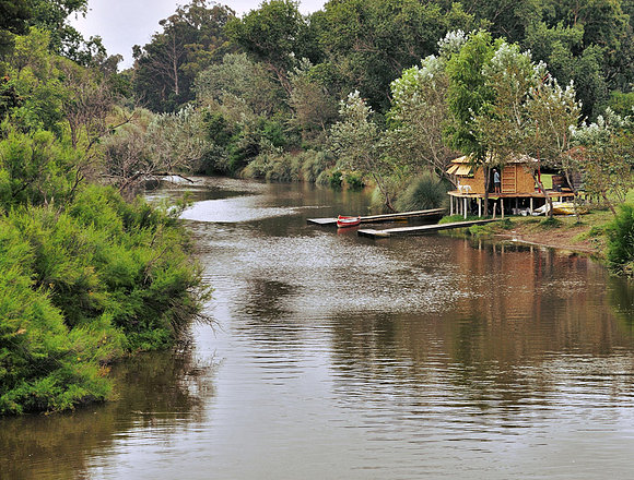 puerto mosquito II