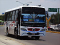 Autobuses Mexico Tizayuca y Anexas