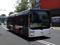 Ruta 111 Man Lions City