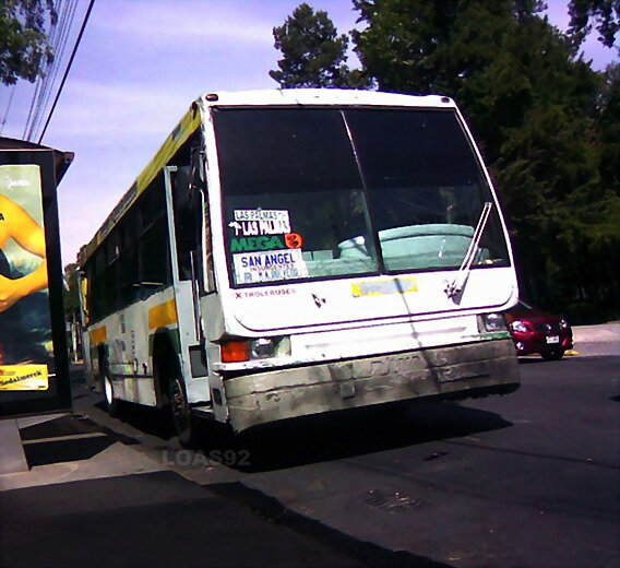 Dina Citus Ruta 1 DF